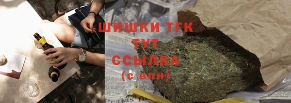 индика Михайловка