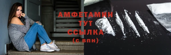 индика Михайловка