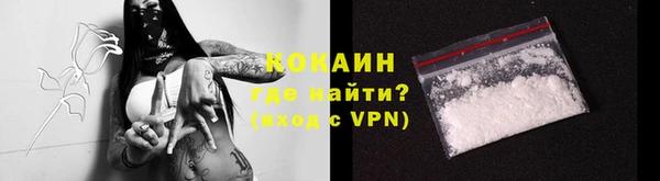 индика Михайловка