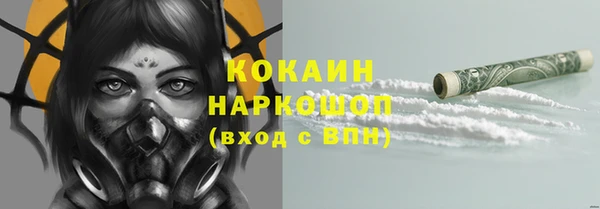 индика Михайловка