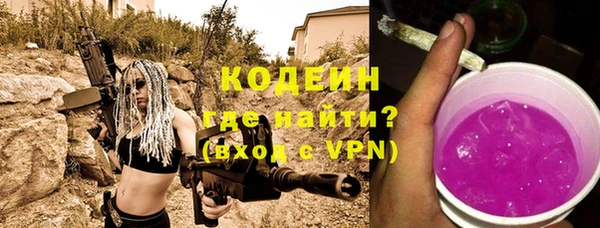 индика Михайловка