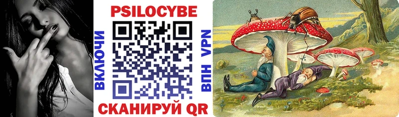 закладка  Оханск  Галлюциногенные грибы мицелий 
